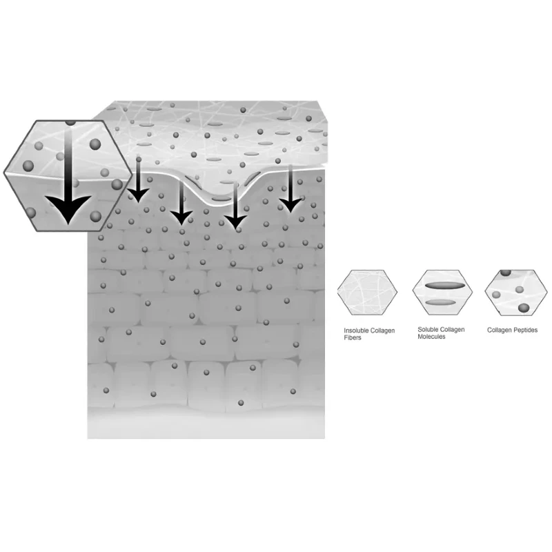 Increase in Skin’s long-term Moisture-Binding Capacity